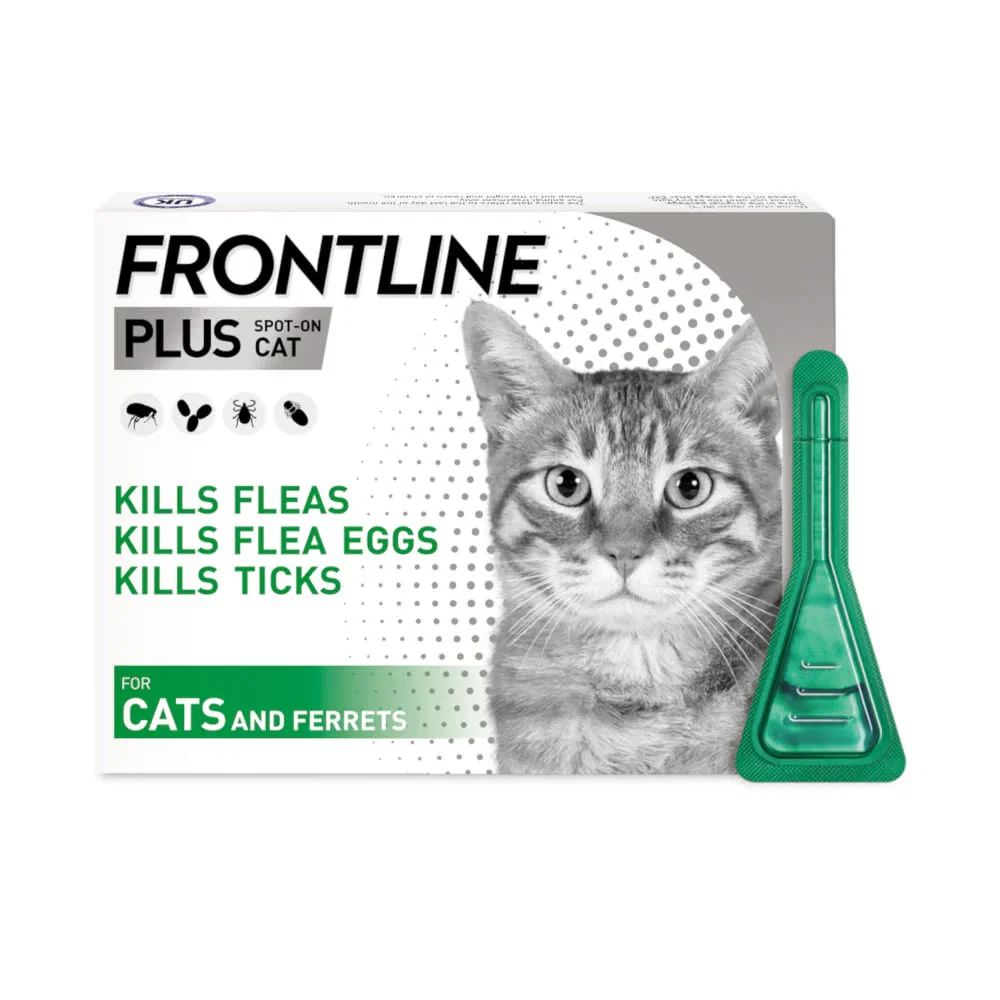 Image of Frontline