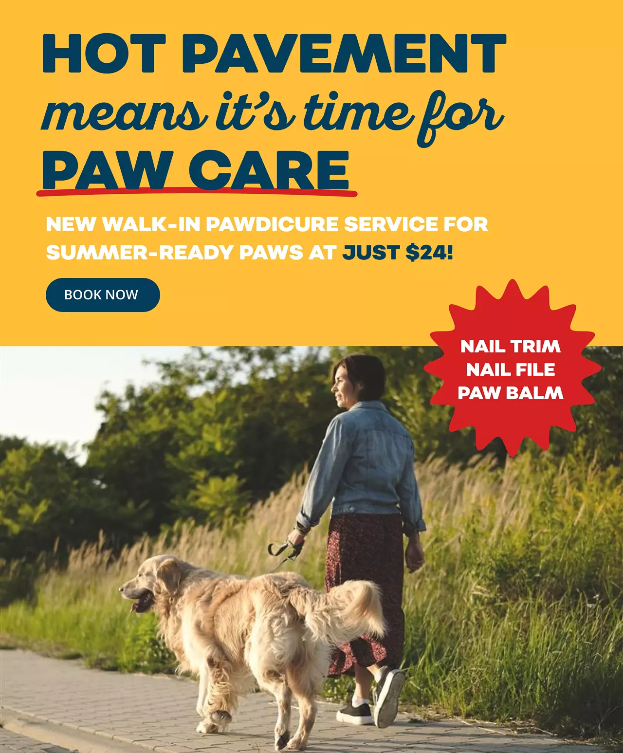 071626_SummerPawCare_HeroGrooming