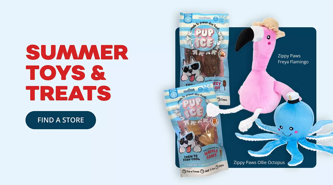 071626_SummerPawCare_SummerToys