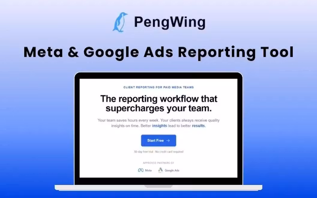 PengWing – Automate Your Meta & Google Ads Reporting in Minutes