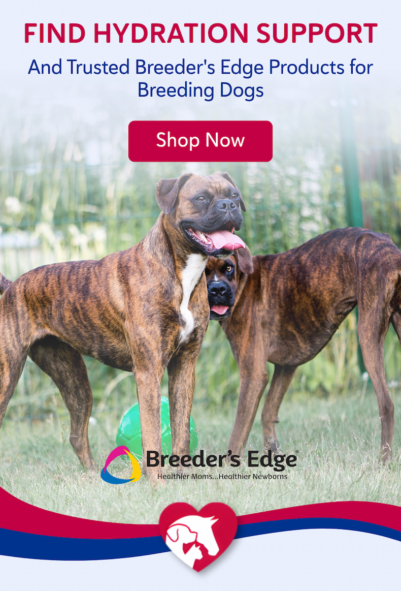 Find hydration support and trusted Breeder's Edge products for breeding dogs.