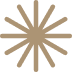 Asterisk icon