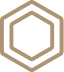 Ring durability icon