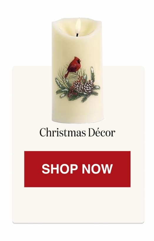 Christmas Decor [Click here to Shop Now]