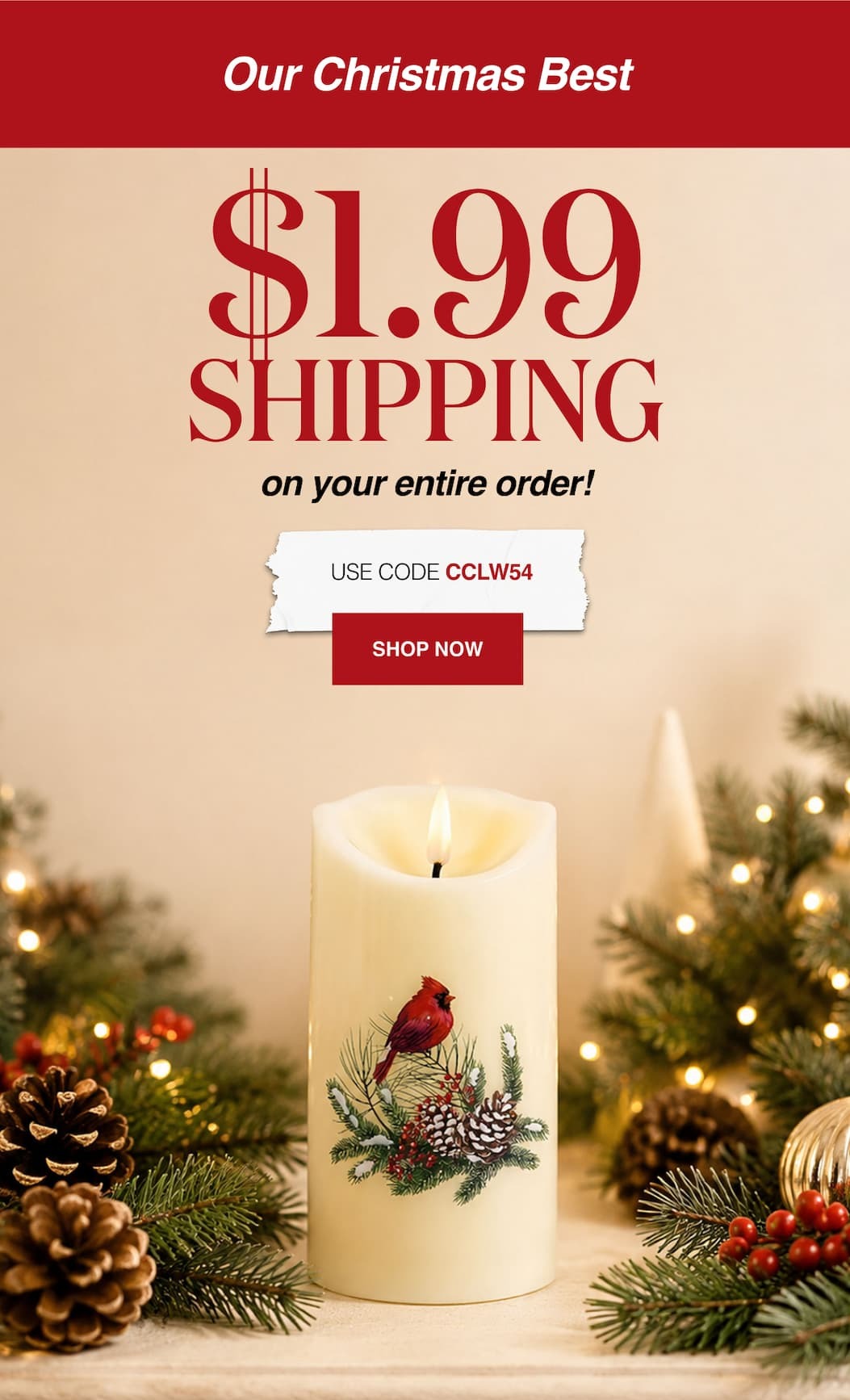 Our Christmas Best $1.99 Shipping on your entire order!