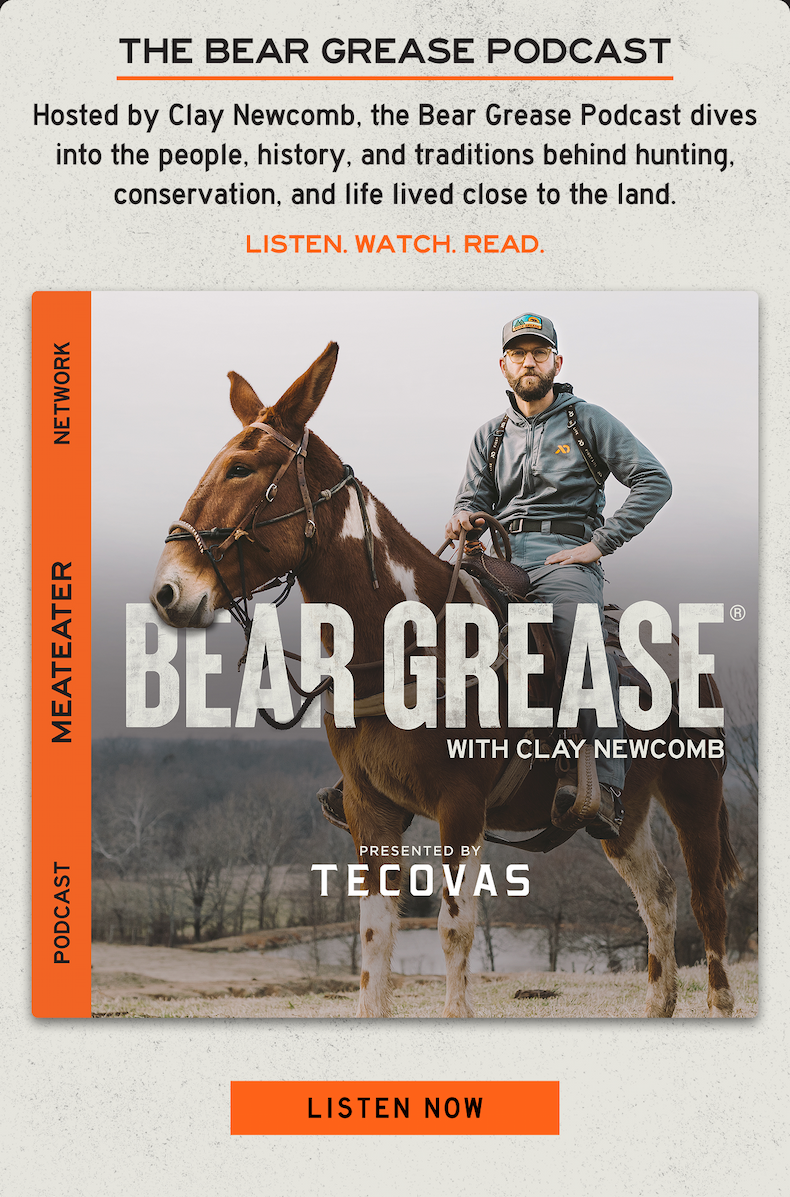 The Bear Grease Podcast