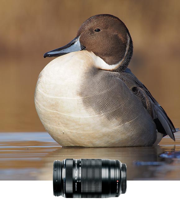 300mm F4.0 IS PRO