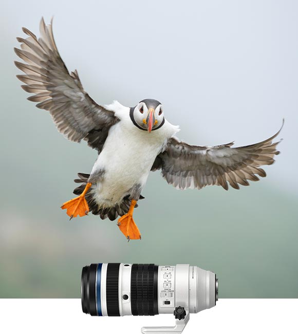 50-200mm