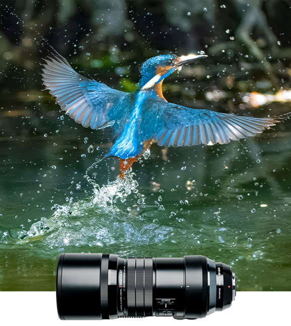 300mm F4.0 IS PRO