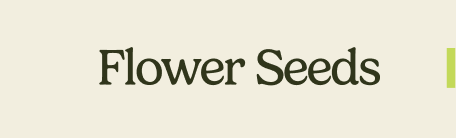 Flower Seeds