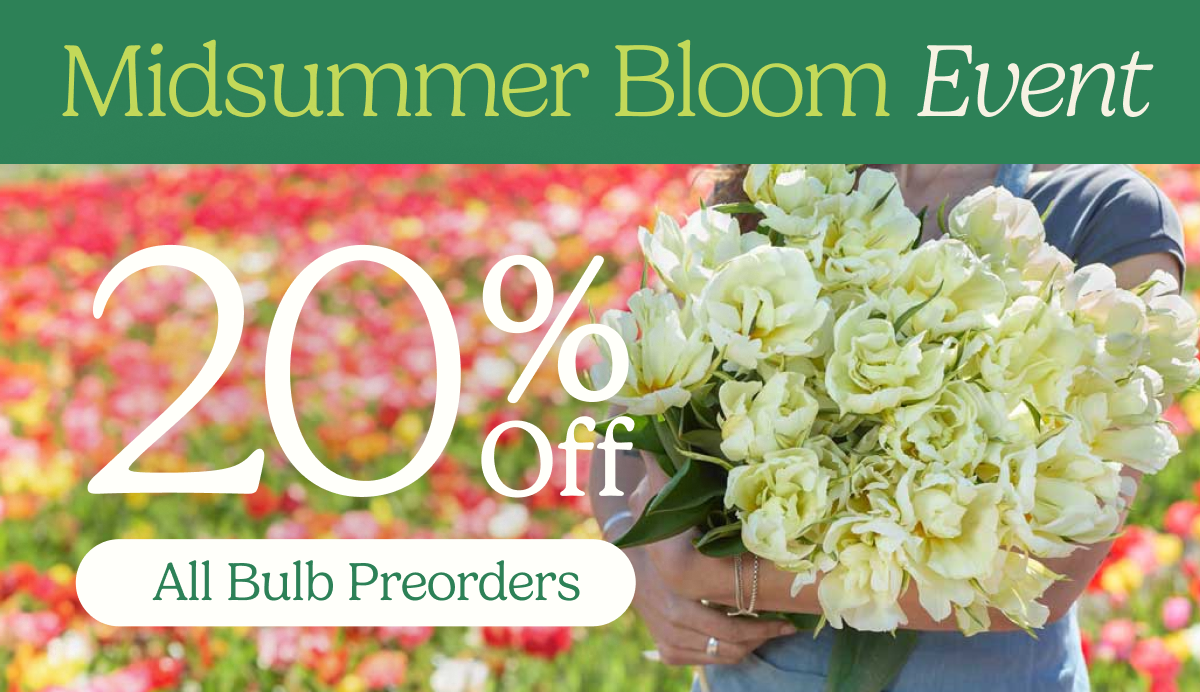 Midsummer Bloom Event – 20% Off All Bulb Preorders