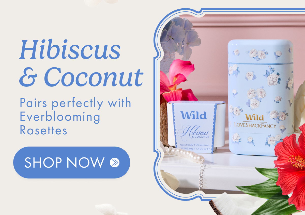 Everblooming Rosettes with Hibiscus & Coconut Scent