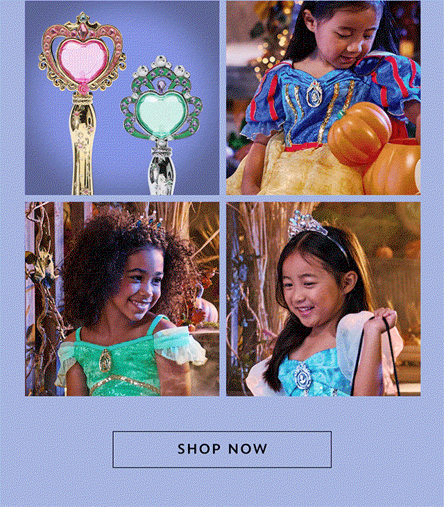 Princess Costumes and Accessories | Shop Now