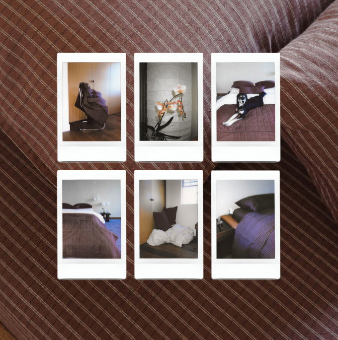 Six small instant-film-style photo prints arranged in a 2x3 grid on a maroon check bedspread. The photos show bedroom scenes, including a chair, flowers, a dog, and beds with purple bedding.