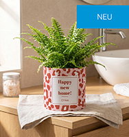 10% Rabatt ab 10.– oder 25% Rabatt ab 35.– + gratis Versand
