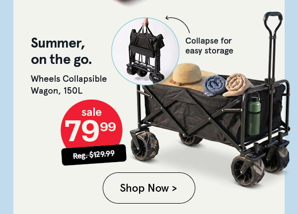 Wheels 'Solid' Collapsible Wagon