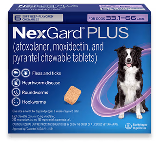 Nexgard PLUS - Flea, Tick, & Broad Spectrum Prevention Chewable Tablet