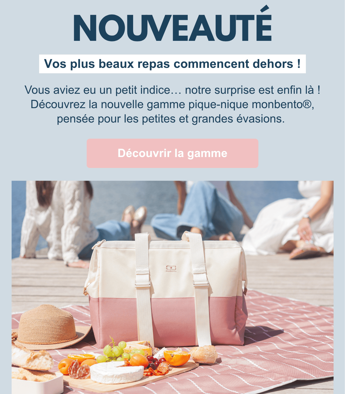 Header NL français lancement gamme pique-nique