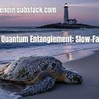 Part 38|| Quantum Entanglement: Slow-Fast, Fast-Slow