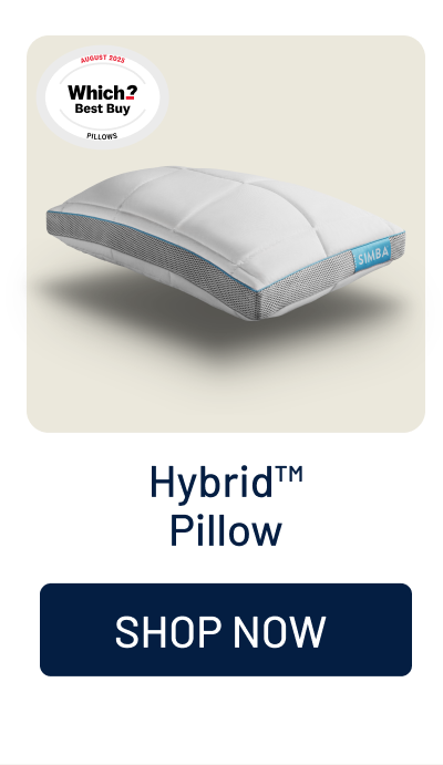 Hybrid Pillow