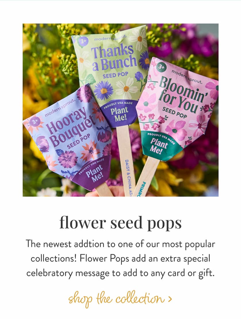 Flower Seed Pops: The newest addtion to one of our most popular collections! Flower Pops add an extra special celebratory message to add to any card or gift. SHOP THE COLLECTION >