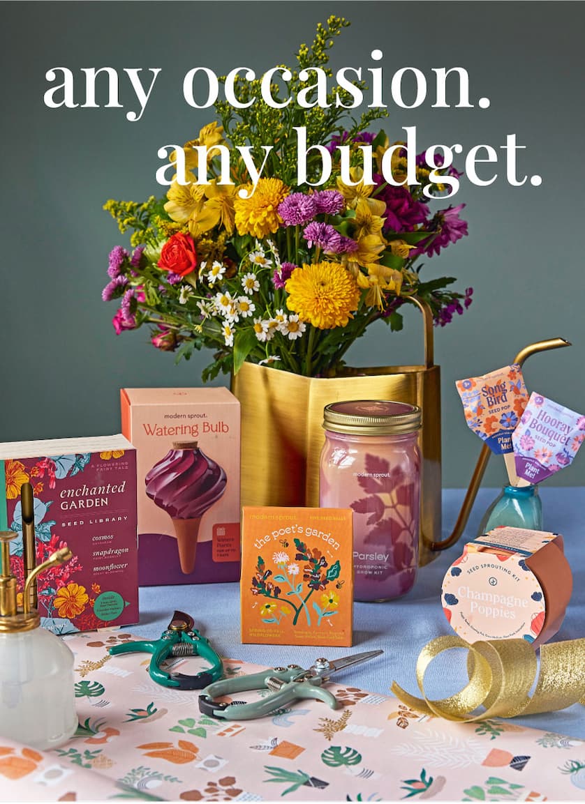 Any Occasion. Any Budget. Summer is for celebrating. We have the perfectgift line up to fit any occasion and budget withsome of our biggest best sellers this year so far! VISIT THE SUSTAINABLE SUMMER GIFT SHOP >