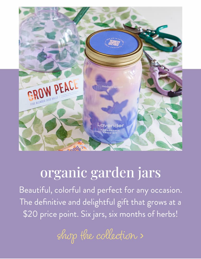 Organic Garden Jars: Beautiful, colorful and perfect for any occasion. The definitive and delightful gift that grows at a $20 price point. Six jars, six months of herbs! SHOP THE COLLECTION >