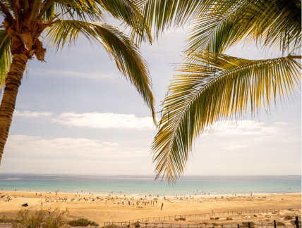 Fuerteventura