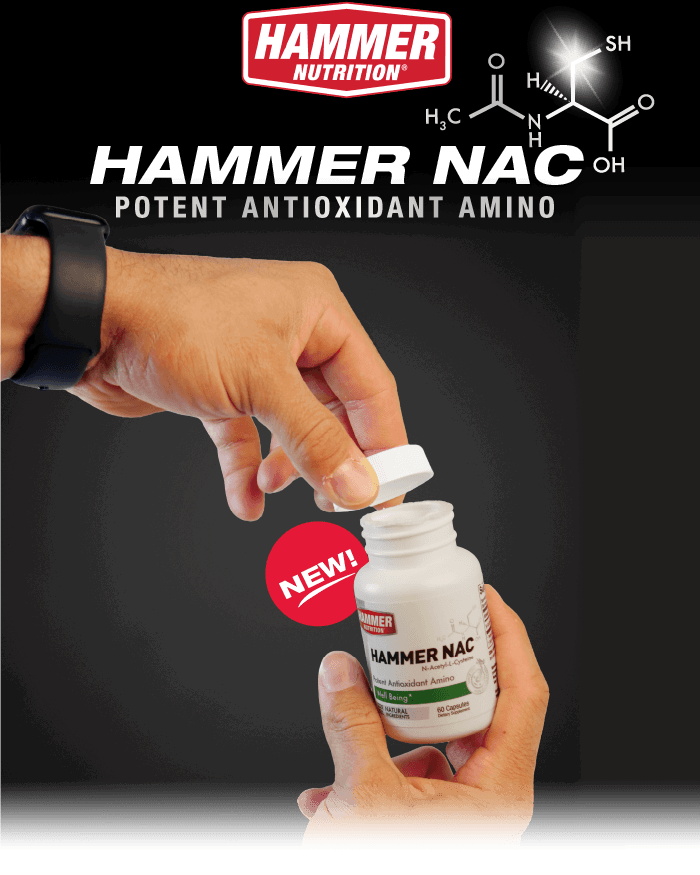Hammer NAC: Potent Antioxidant Amino