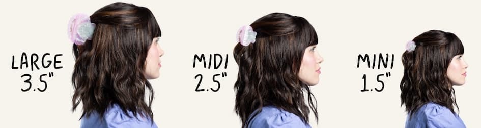 size scale of new scallop clips