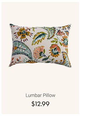 Lumbar Pillow