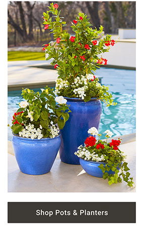 Shop Pots & Planters >