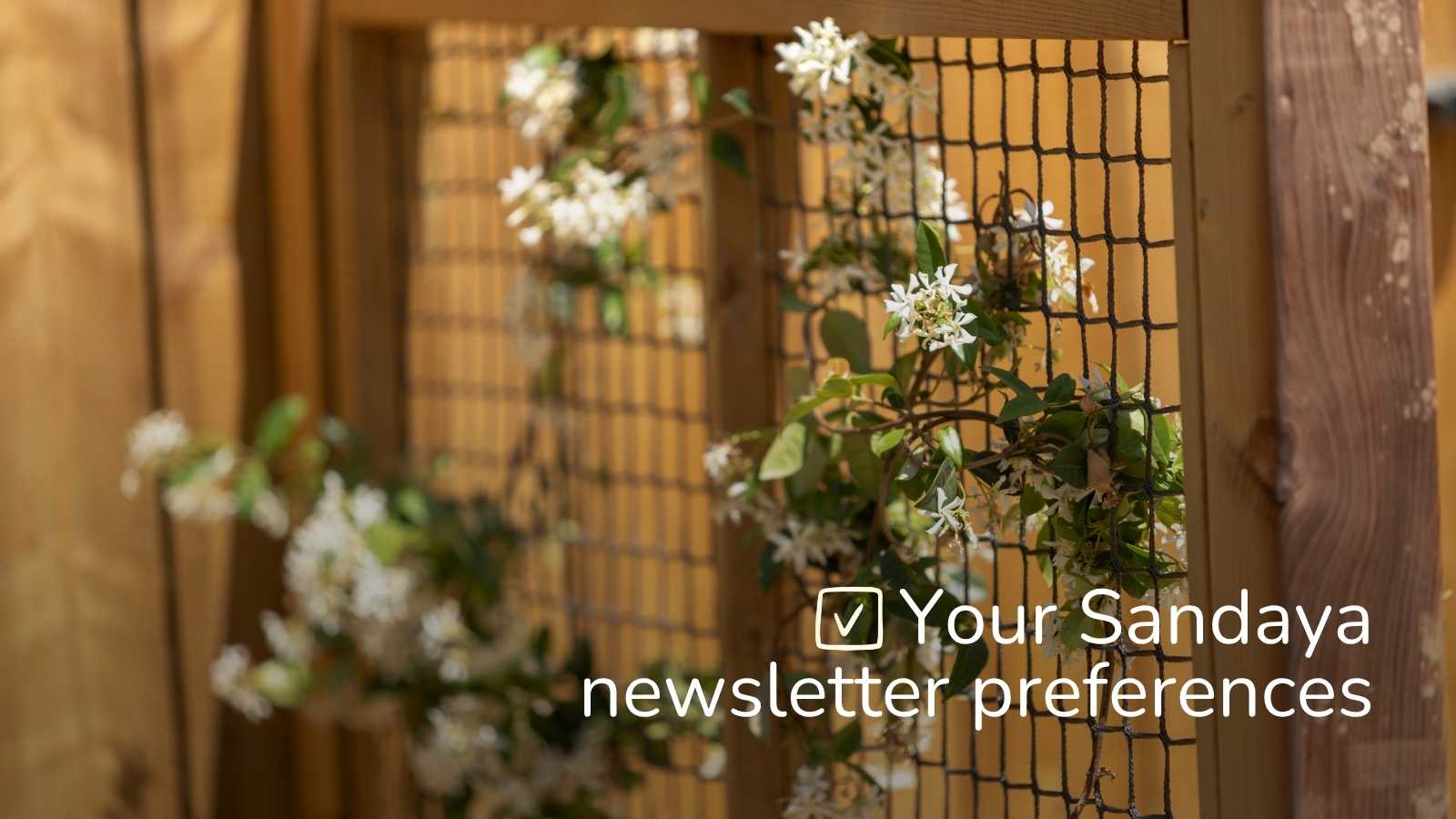 Personalise your Sandaya experience while staying in control.