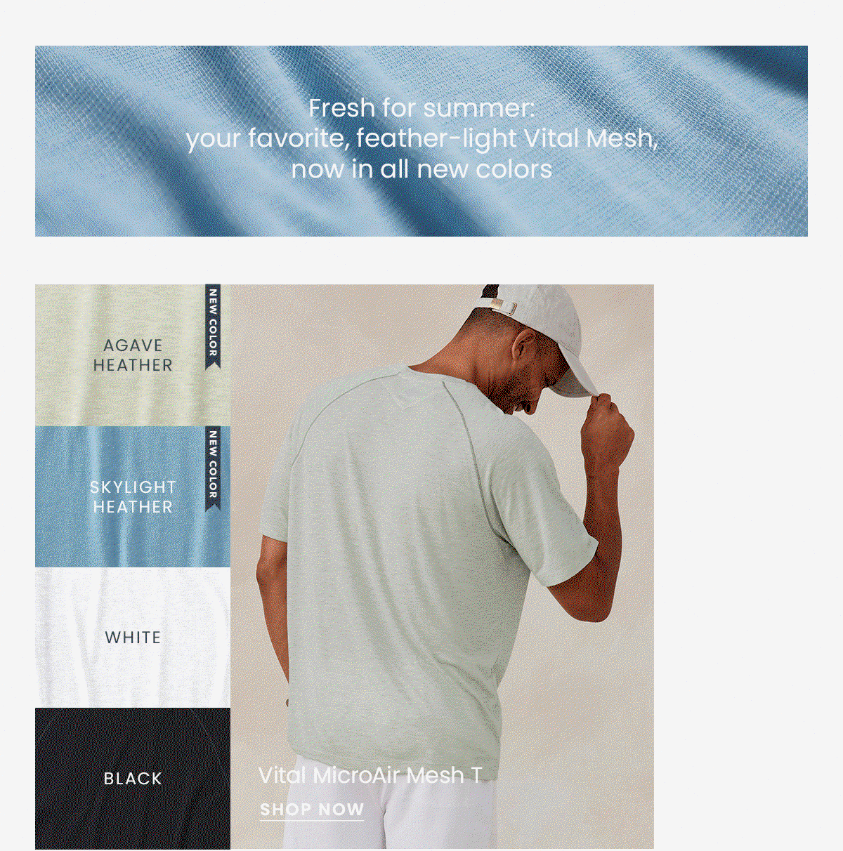 Shop The Vital T