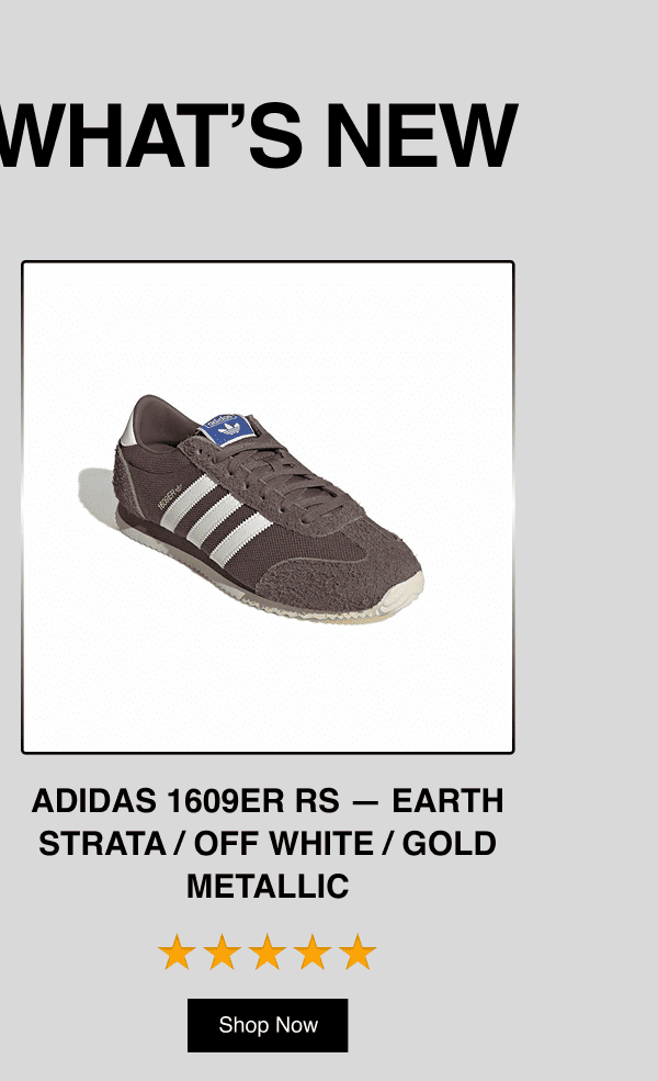 Adidas 1609ER RS - Earth Strata / Off White / Gold Metallic