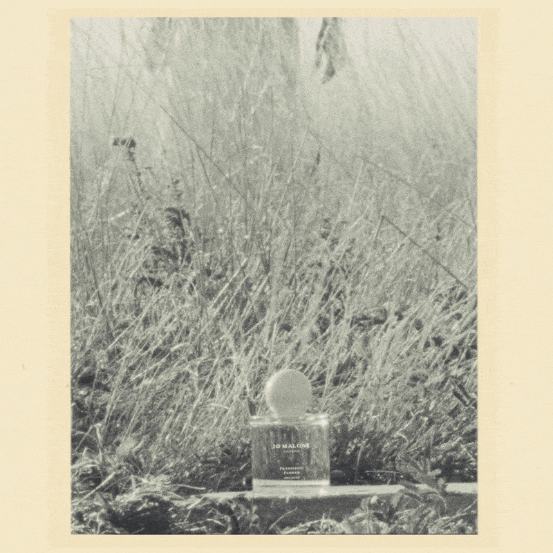 JO MALONE LONDON | FRANGIPANI FLOWER COLOGNE