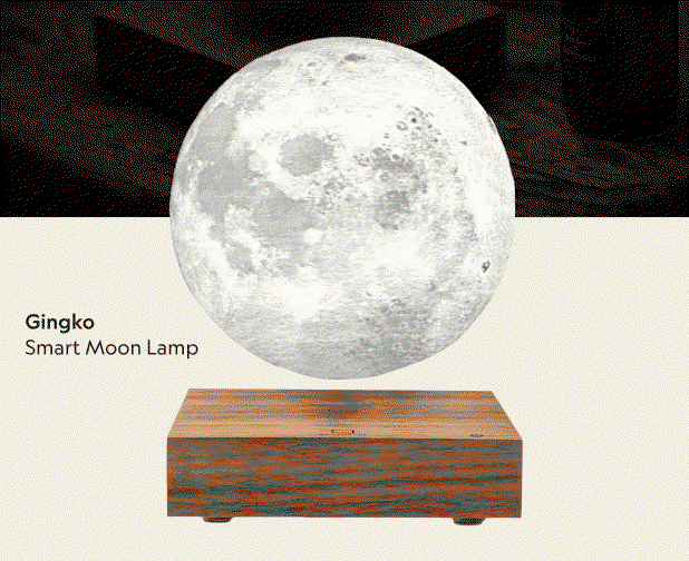 all eyes on the moon 