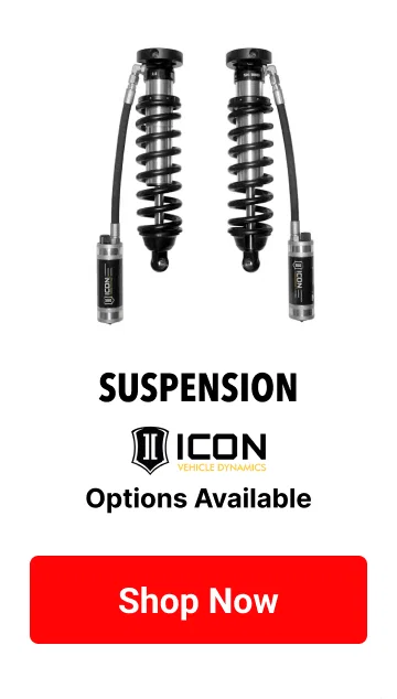 Suspension