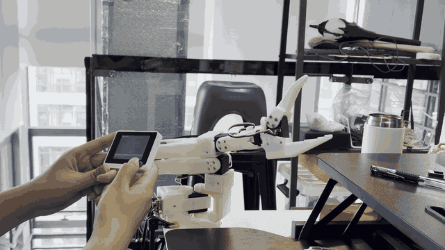 Affordable robotic arm controller