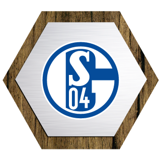 FC Schalke 04