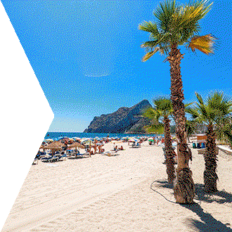 Up to 40% OFF: Adventure Awaits! Search Now