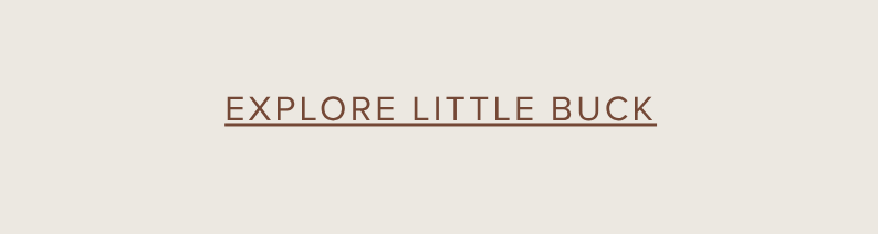 Little Buck Brown Cowboy Hat 