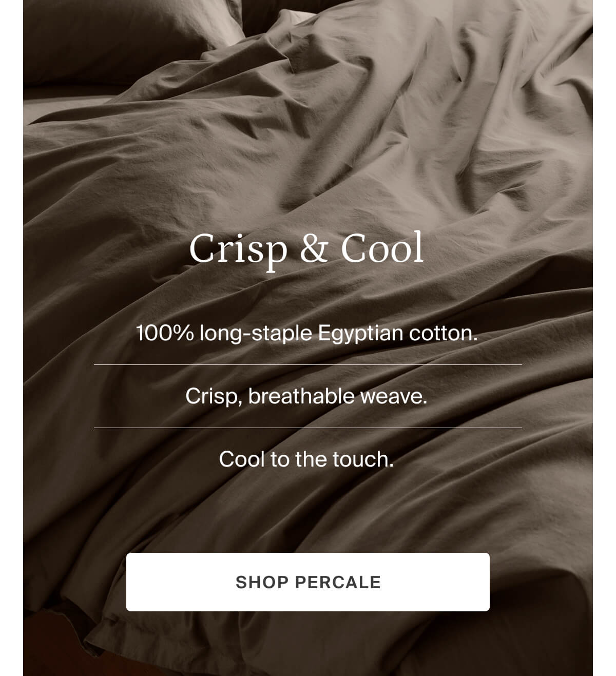 crisp & cool, shop percale