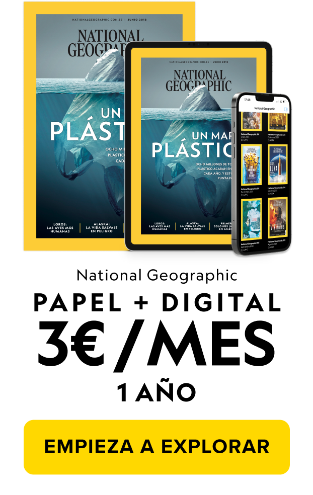 OFERTA VERANO
