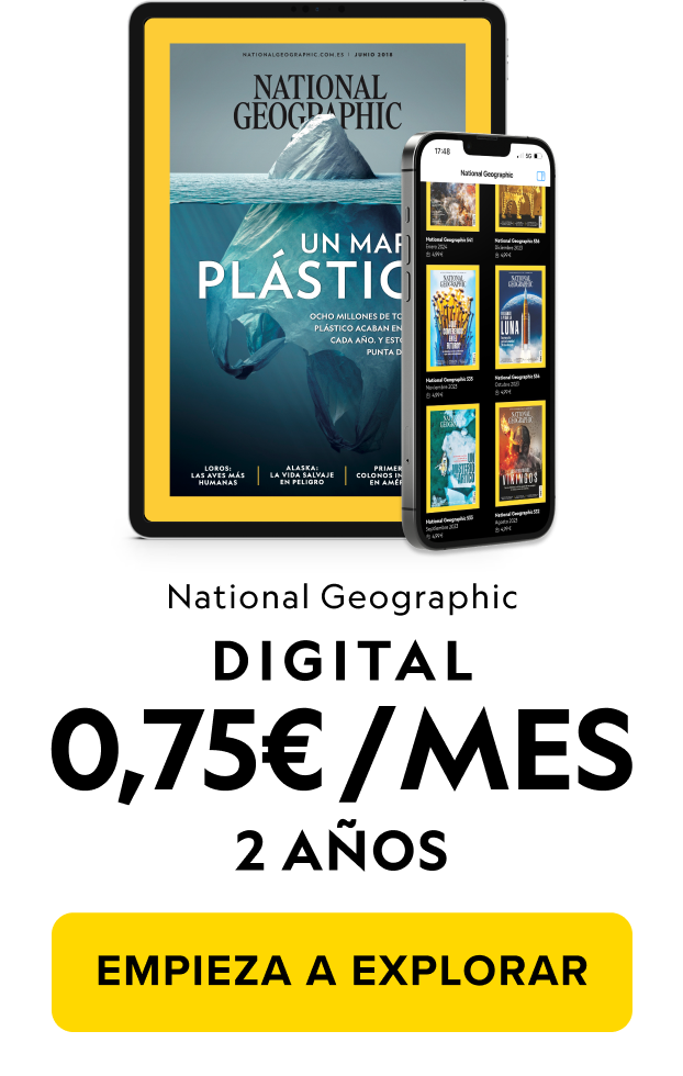 OFERTA VERANO