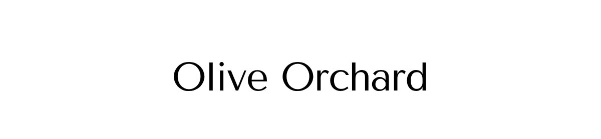 Olive Orchard