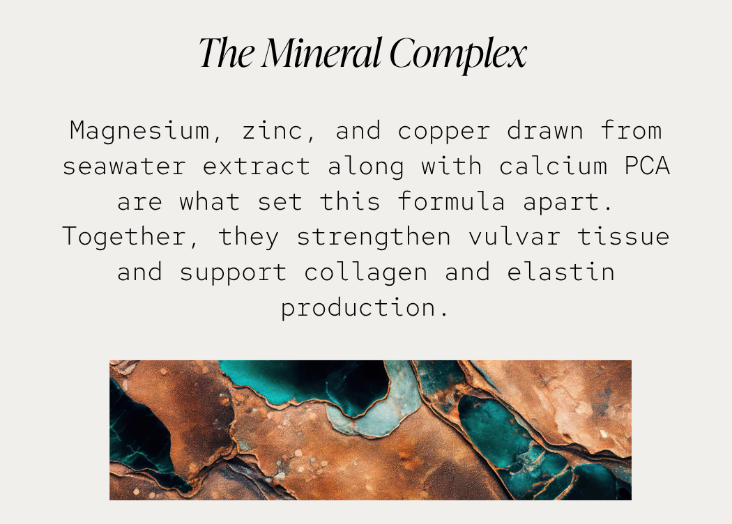 The Mineral Complex: Magnesium, zinc, and copper drawn from seawater extract along with calcium PCA are what set this formula apart. Together, they strengthen vulvar tissue and support collagen and elastin production.