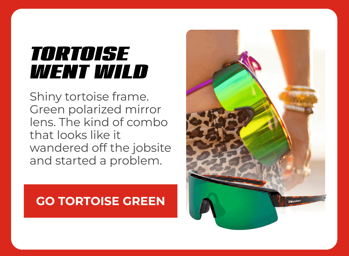 Tortoise Went Wild