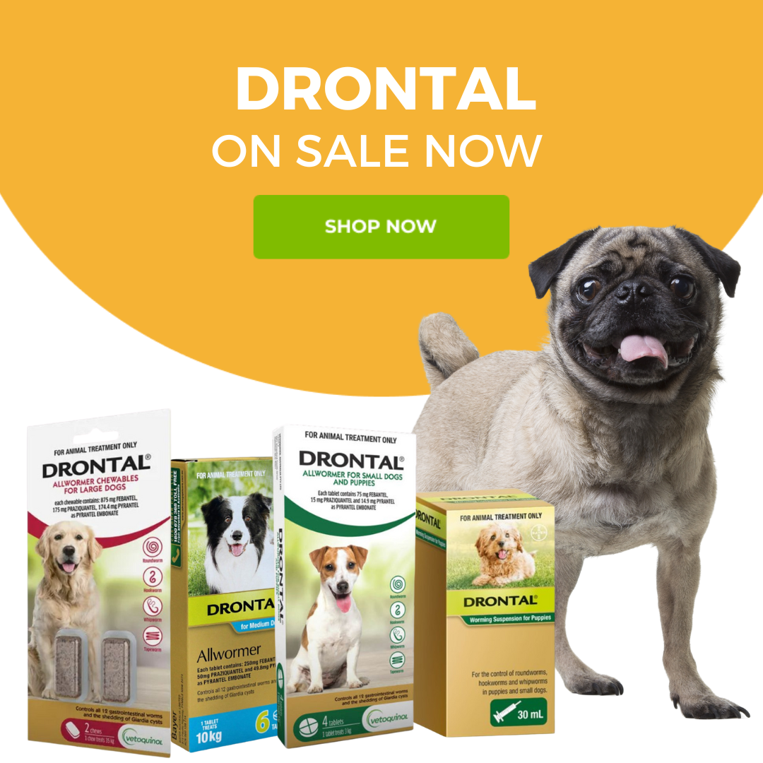 Drontal sale