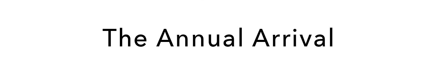 The Annual Arrival